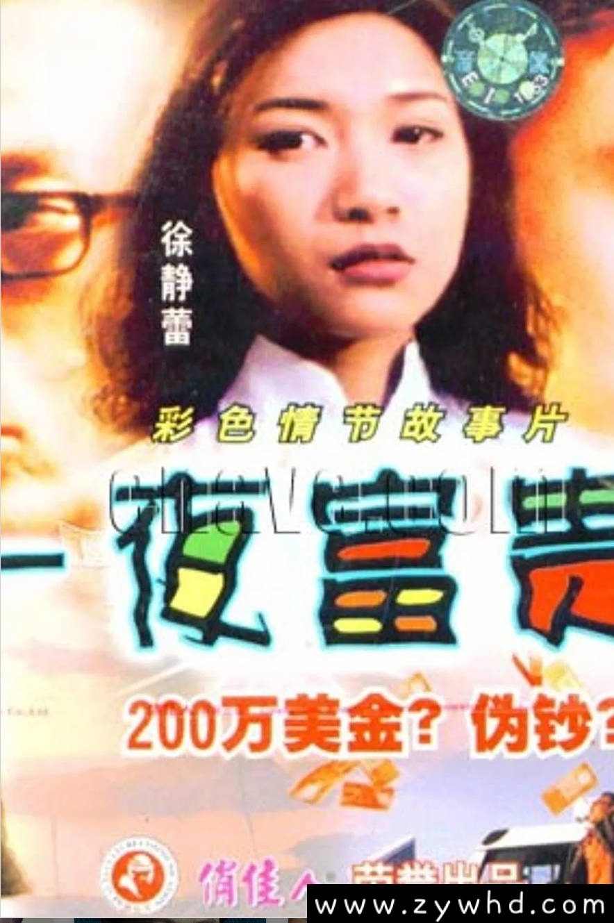 《一夜富贵》:1998年香港喜剧动作片|徐静蕾林保怡钱嘉乐爆笑寻宝